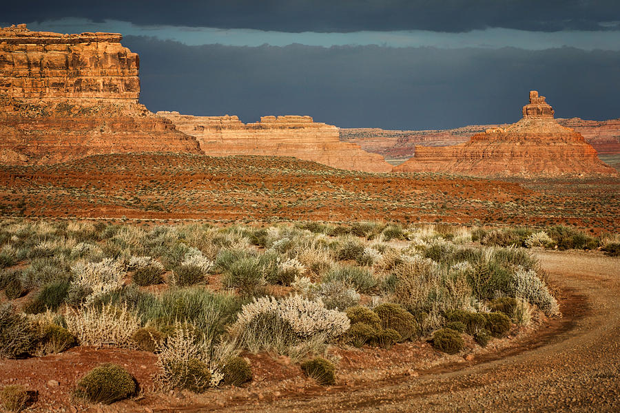 Road - Valley of the Gods - Utah Photograph by Nikolyn McDonald