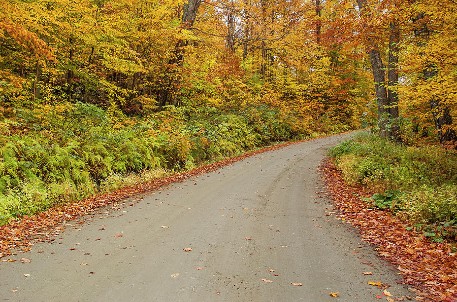 Road with fall foliage, Stowe, Vermont Photograph by Tom Zeman - Fine ...