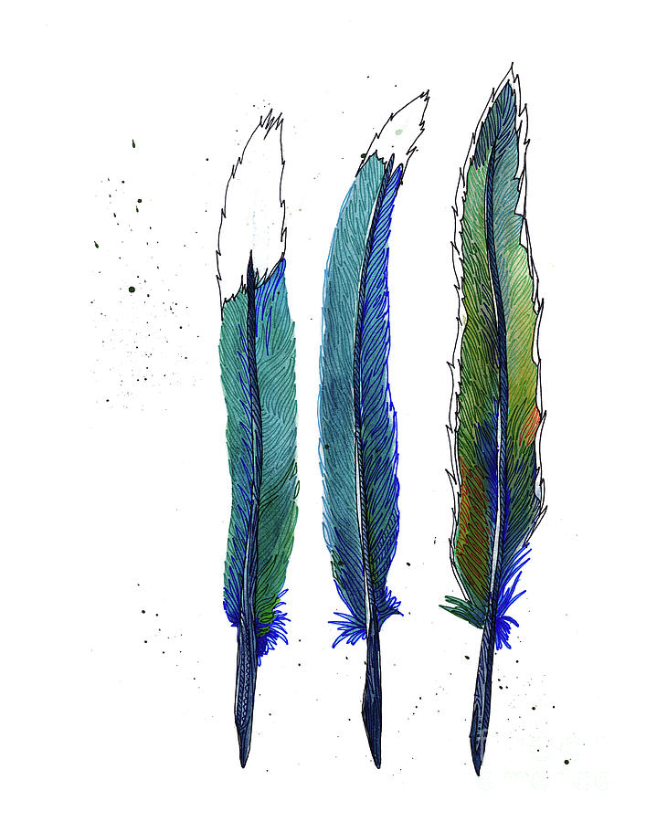 Nature Drawing - Roadrunner Feathers by Allie Rowland