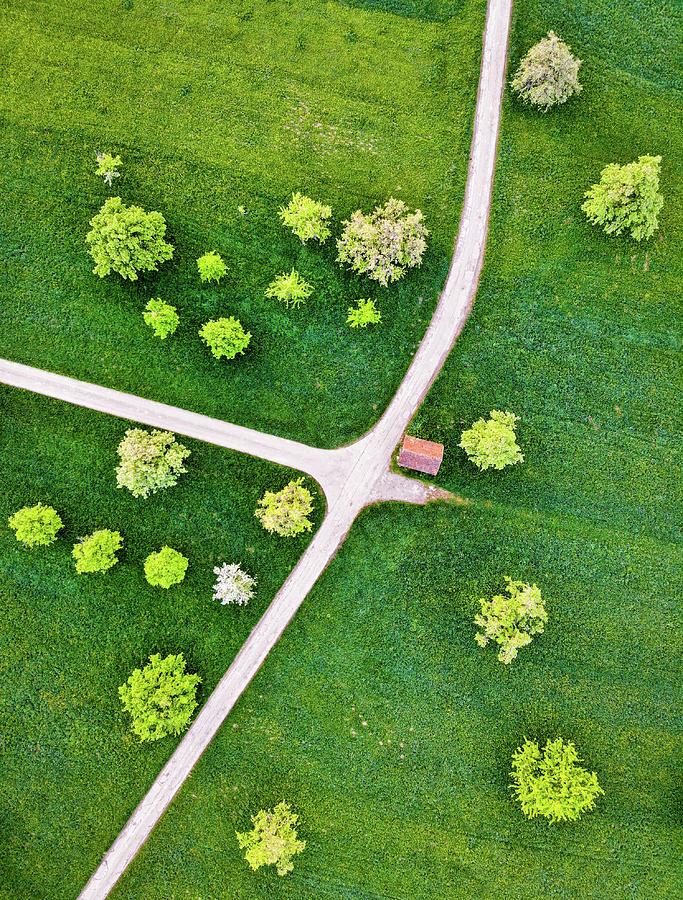 Roads and green spring meadow with trees from above Photograph by Matthias Hauser