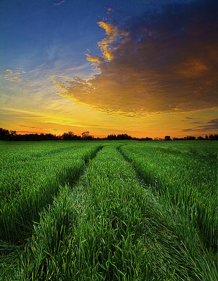 Roads Home Photograph by Phil Koch - Fine Art America