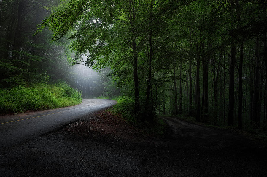 Nature Photograph - Roads by Plamen Petkov