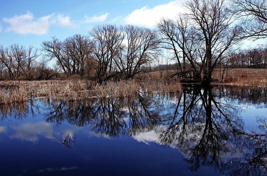 Roadside Pond I Photograph by Debbie Oppermann