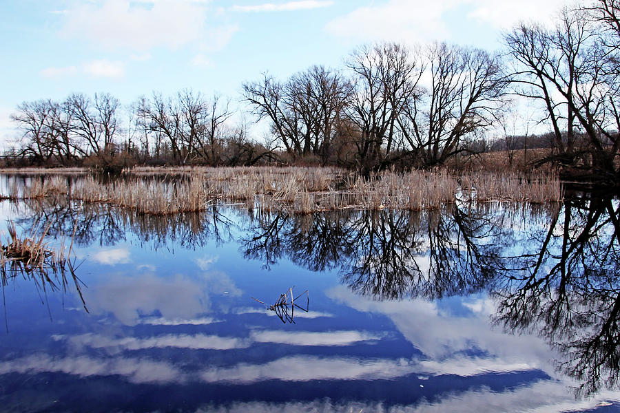 Roadside Pond III Photograph by Debbie Oppermann