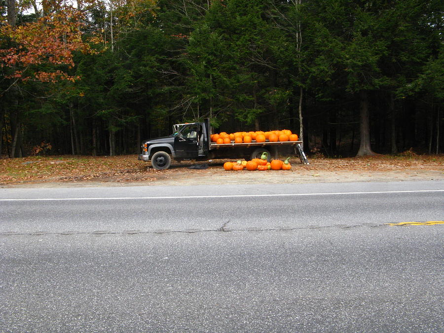 Roadside Pumpkin Sale Photograph by Bill Tomsa