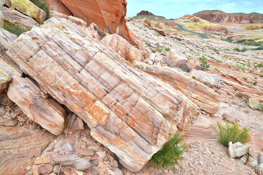 Roadside Sandstone in Valley of Fire Photograph by Ray Mathis