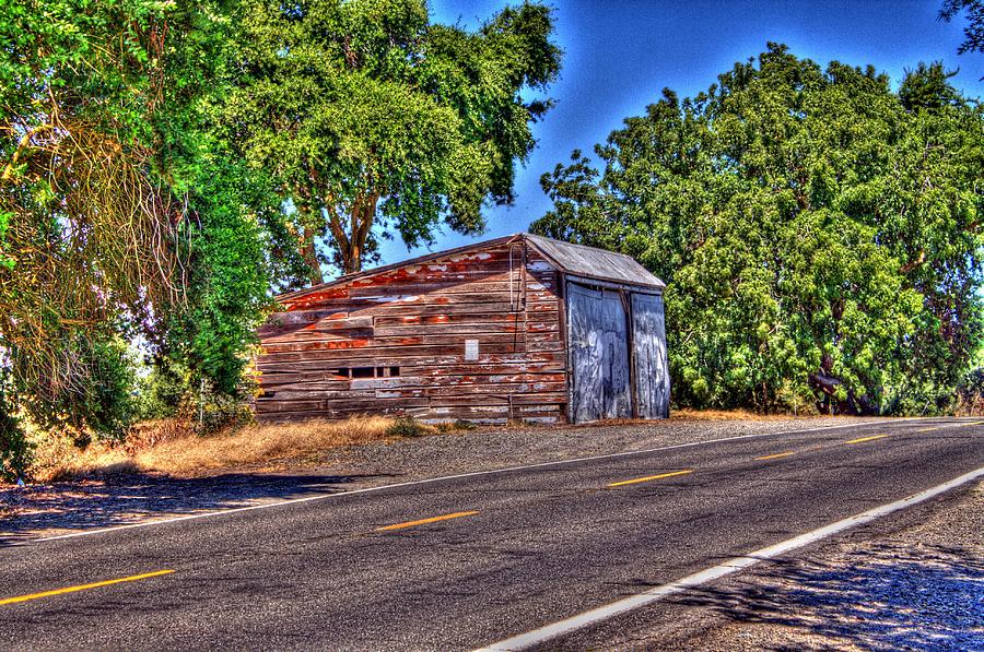 Roadside Shed Photograph by Randy Wehner