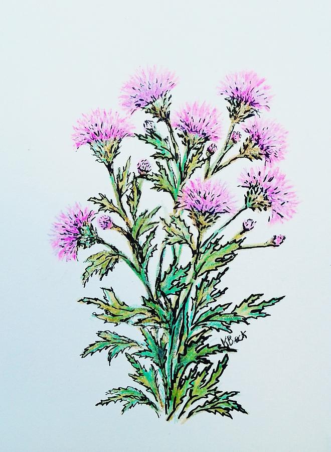 Roadside Thistles Drawing by Katherine Young-Beck