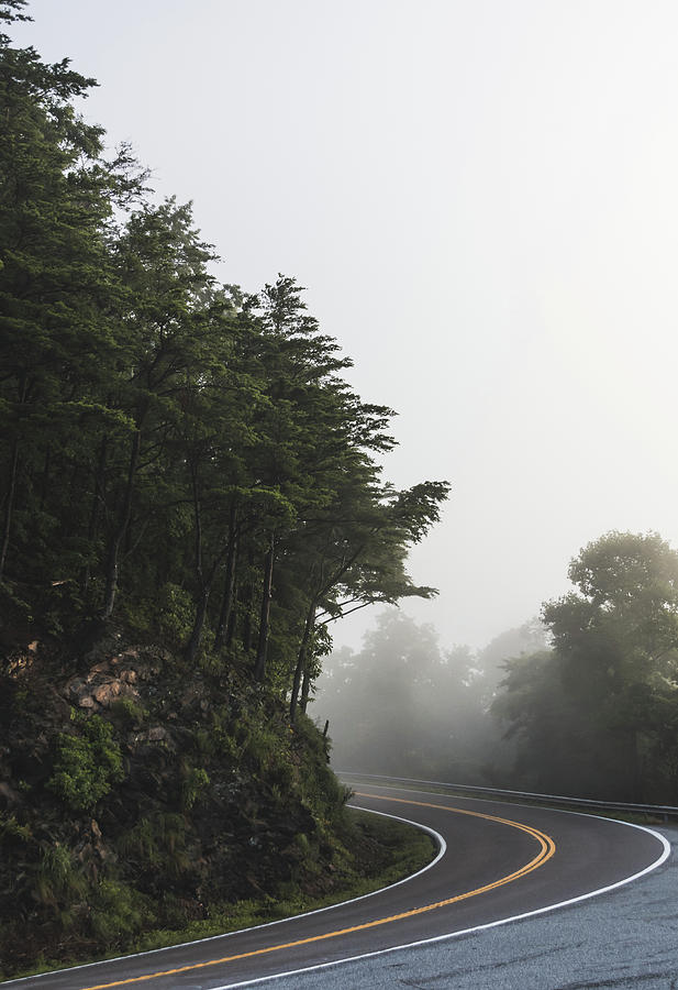 Roadway in Georgia #fog #nature #scene Photograph by Andrea Anderegg