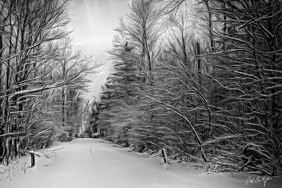 Roadway To The Lake Digital Art by Phill Doherty - Fine Art America