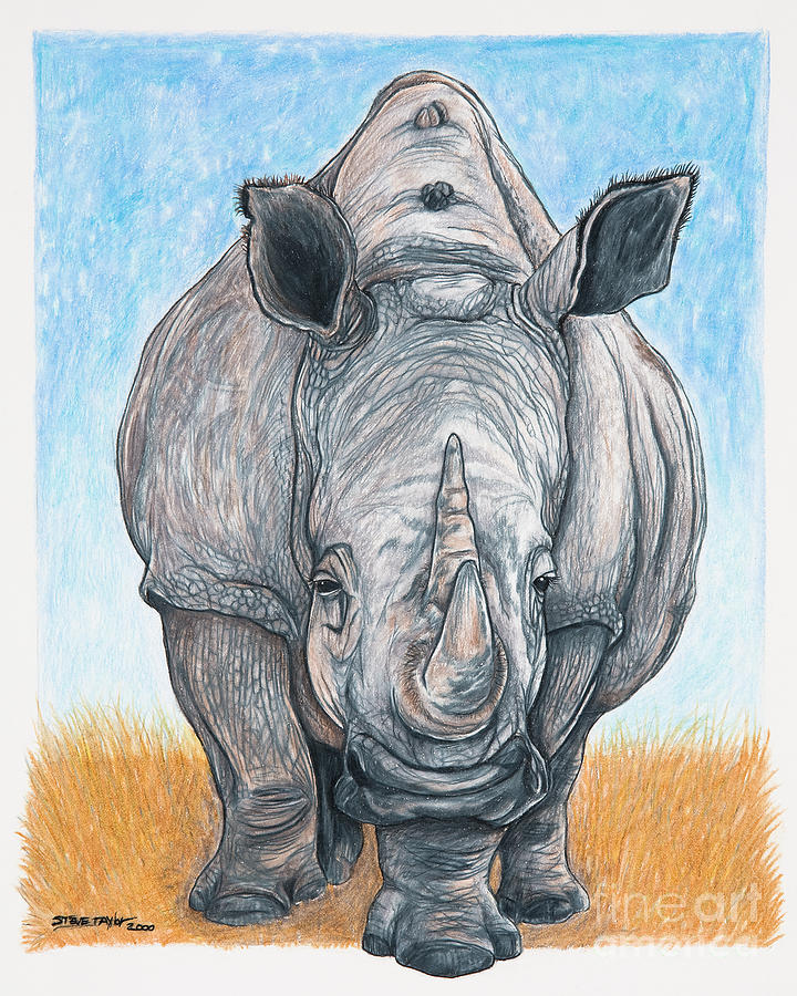 Roaming Giant Drawing by Stephen Taylor - Fine Art America