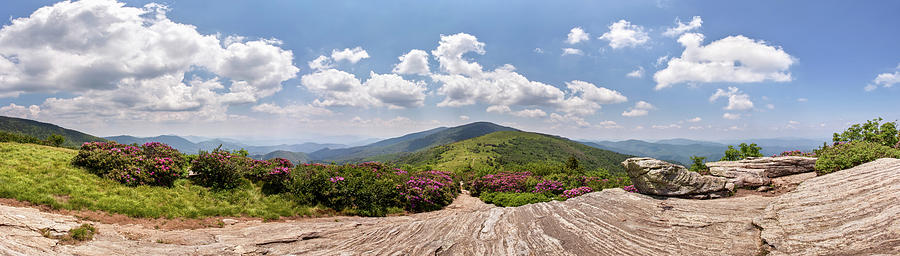 Roan Highlands Panorama Photograph by Paul Malcolm
