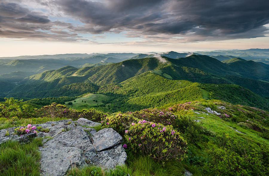 Mountain Photograph - Roan Highlands Southern Appalachian Trail Spring Scenic by Mark VanDyke