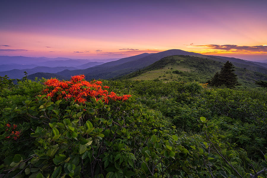 Mountain Photograph - Roan Highlands - The Makers Mark by Jason Penland