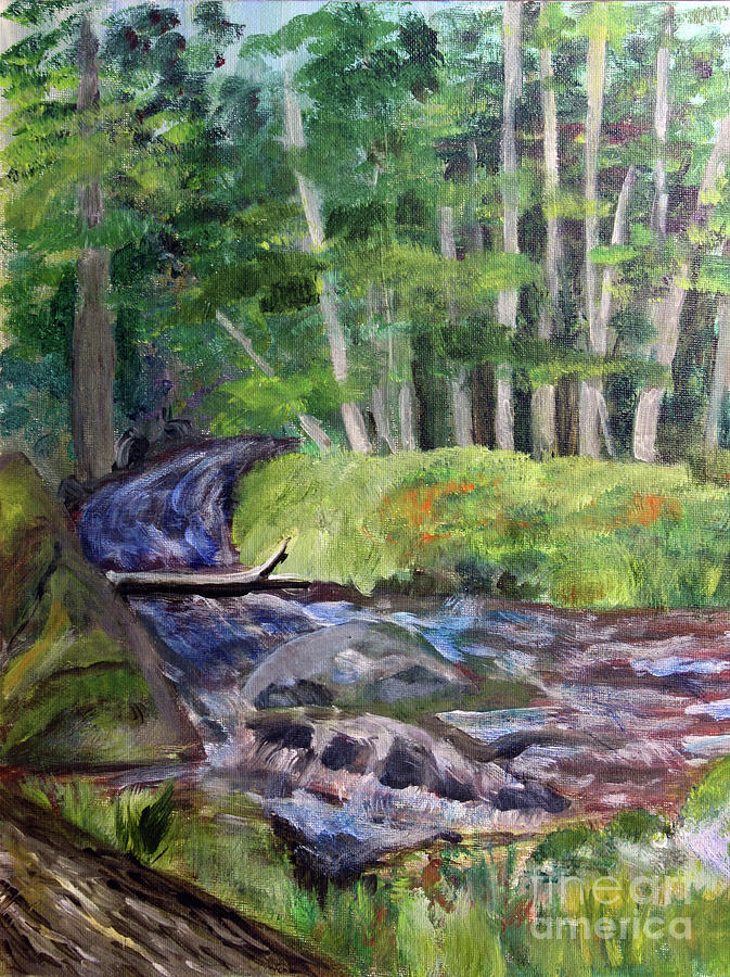Roaring Brook Painting by Donna Walsh