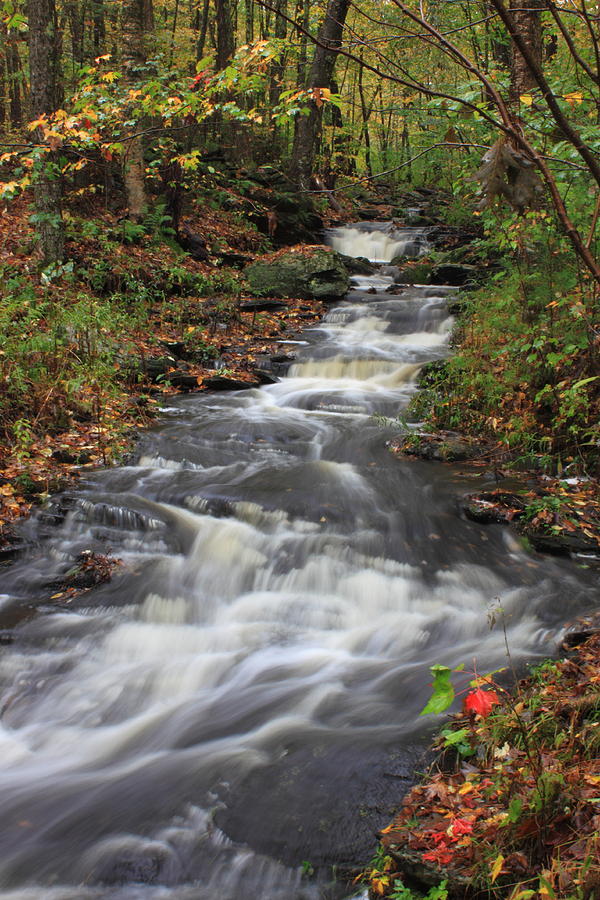 Fall Photograph - Roaring Brook in Autumn by John Burk