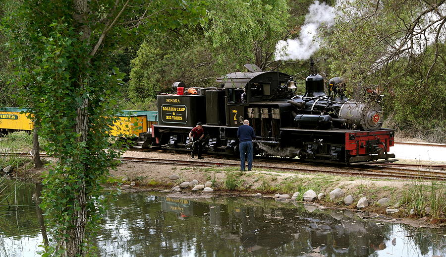 Roaring Camp Steam Train Photograph by Michele Myers
