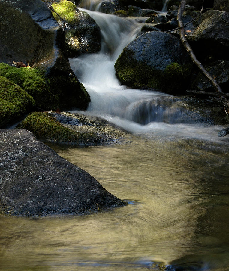 Roaring Creek Photograph by Susan Galloway - Fine Art America