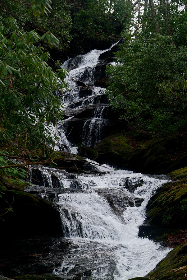 Roaring Falls Beauty Photograph by Christal Randolph - Fine Art America