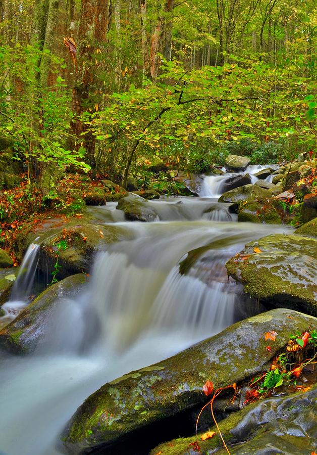 Roaring Fork Cascade Photograph by Dennis Nelson - Fine Art America