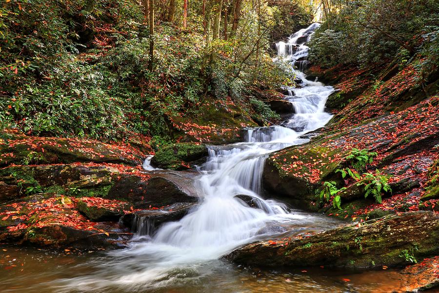 Roaring Fork Creek Falls by Carol Montoya.