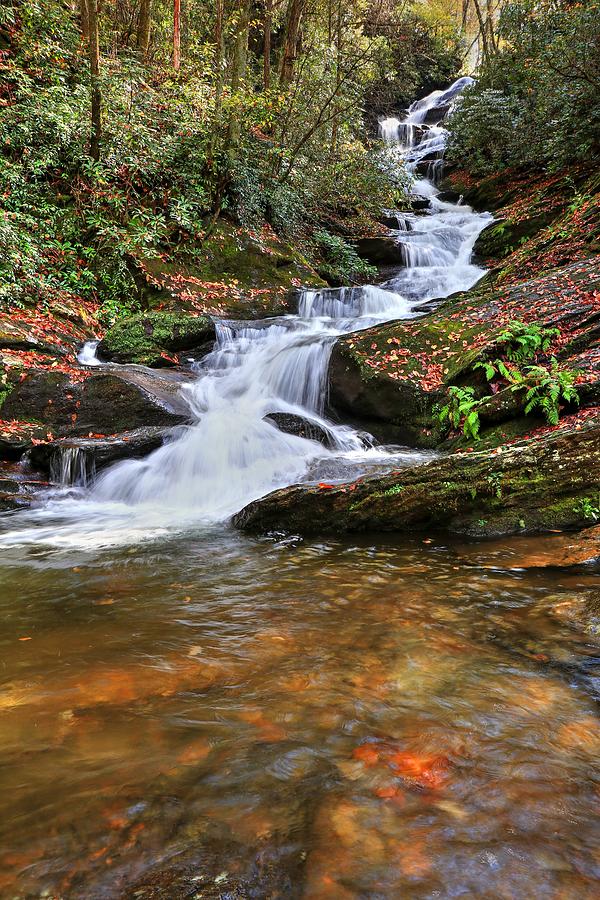 Roaring Fork Creek Falls II Photograph