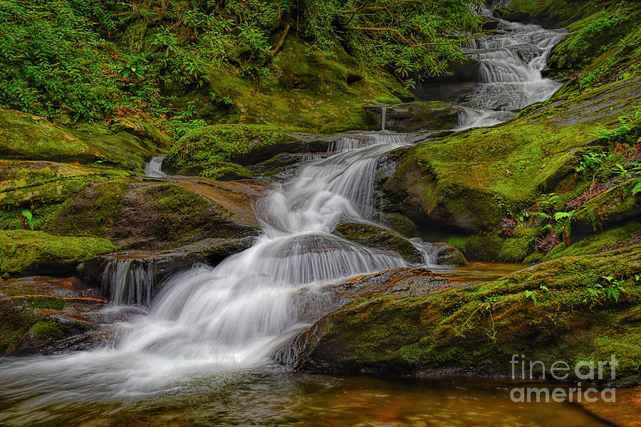 Roaring Fork Falls Photograph by Tammy Cook