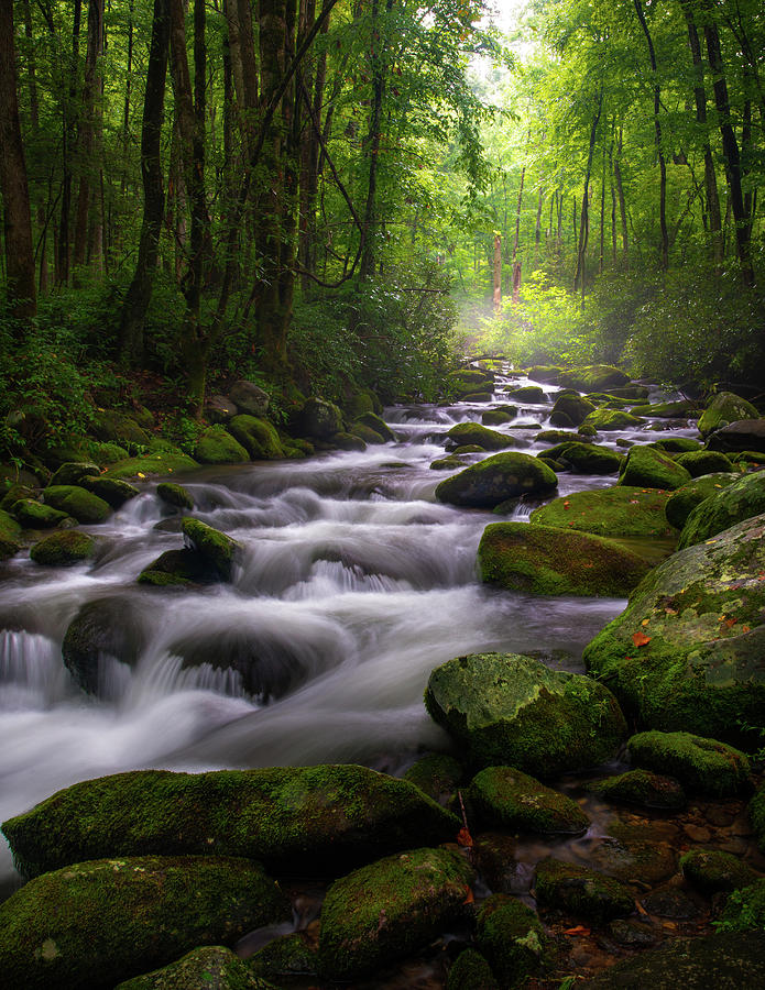 Great Smoky Mountains Roaring Fork Gatlinburg Tennessee by Mike Koenig Great Smoky Mountains Roaring Fork Gatlinburg Tennessee by Mike Koenig