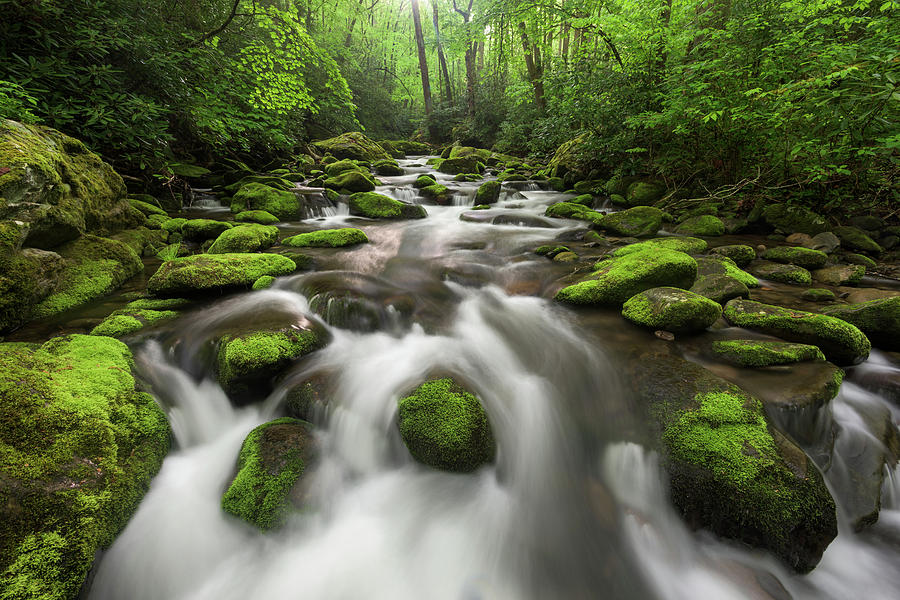 Roaring Fork Great Smoky Mountains National Park Cascade