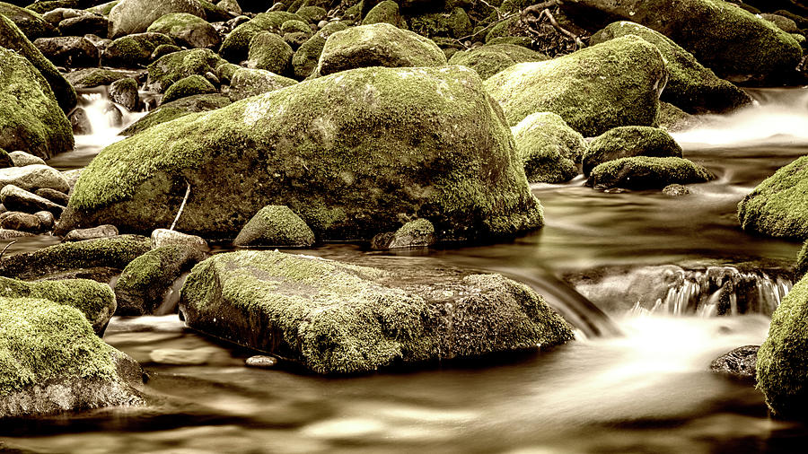 Roaring Fork Mossy Rocks - Sepia Photograph by Stephen Stookey