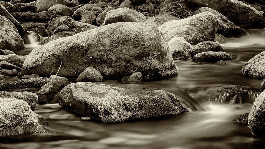 Roaring Fork Mossy Rocks - Strong Sepia Photograph by Stephen Stookey