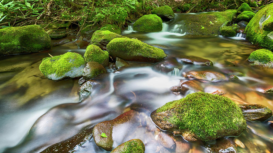 Roaring Fork Waters Photograph by Stephen Stookey