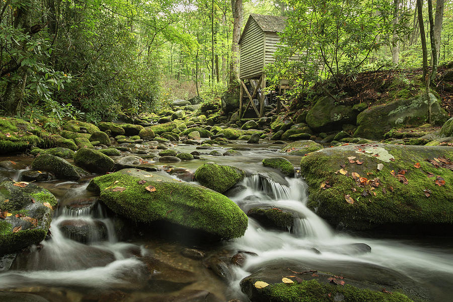 Roaring Forks Mill Photograph by Jeffrey Ewig
