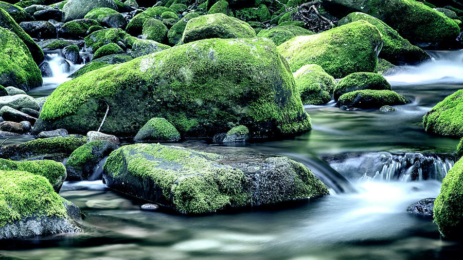 Roaring Forks Mossy Rocks - Muted Green Photograph by Stephen Stookey
