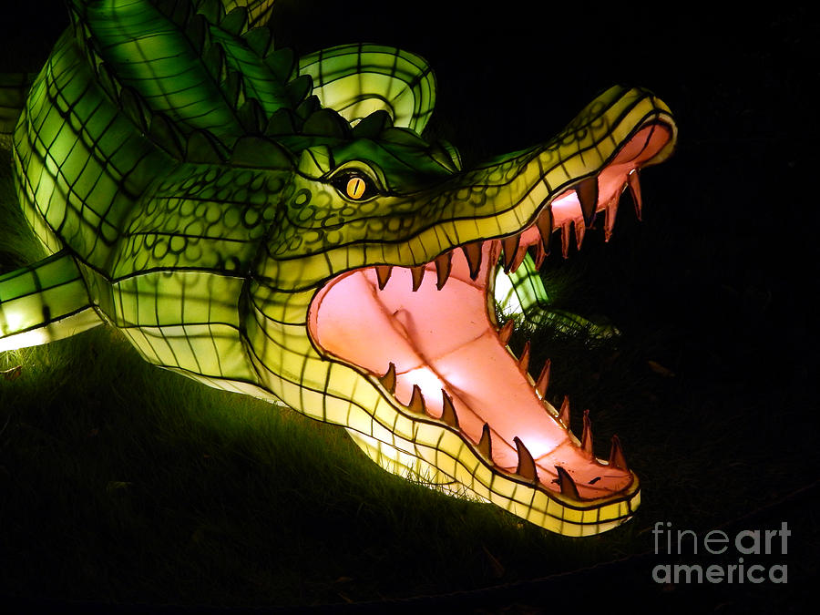 Roaring Green Alligator Lantern Photograph by Amy Dundon