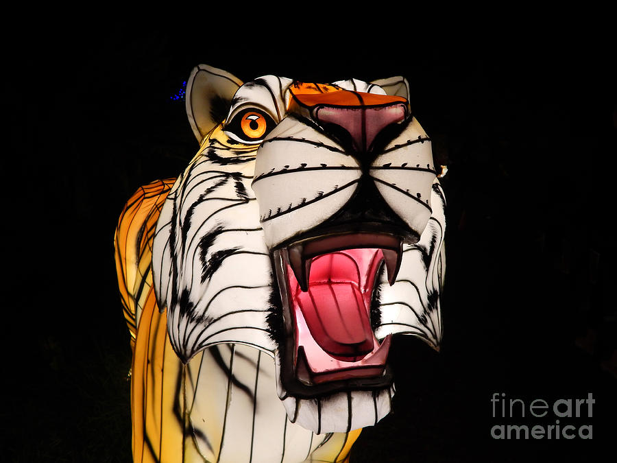 Roaring Tiger Chinese Lantern Photograph by Amy Dundon