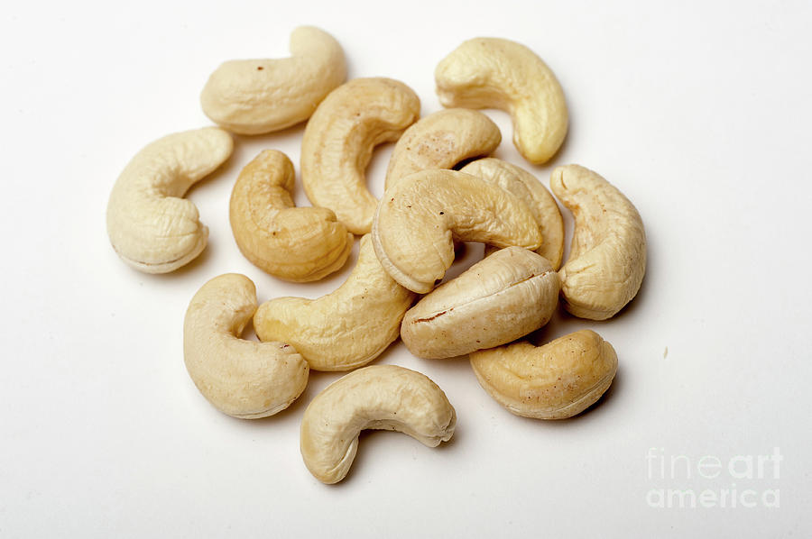Roasted Cashew Nuts Photograph