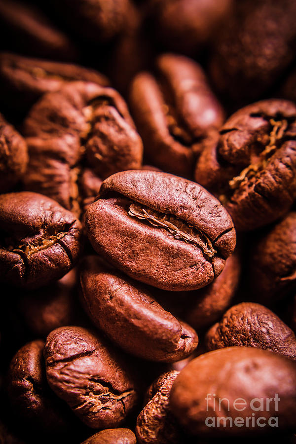 Roasted Coffee Bean Macro Photograph