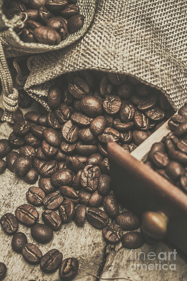 Roasted coffee beans in close-up  Photograph by Jorgo Photography
