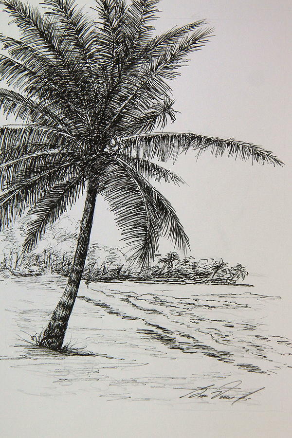 Roatan Remembered Drawing by Ben Vines Jr | Fine Art America