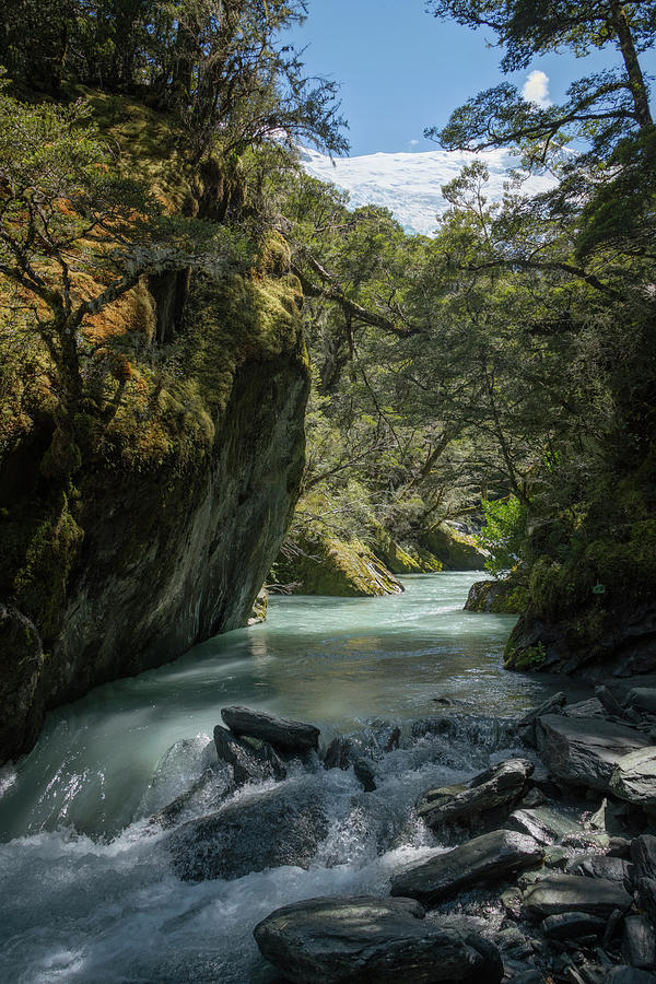 Rob Roy Stream New Zealand Photograph by Joan Carroll
