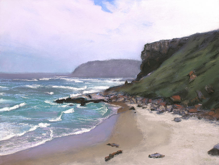Robberg Nature Reserve Pastel by Christopher Reid