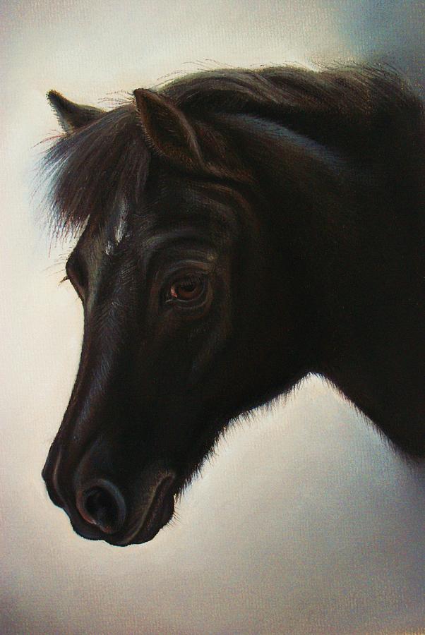 Horse Pastel - Robbie -  Black pony by Lucy Deane