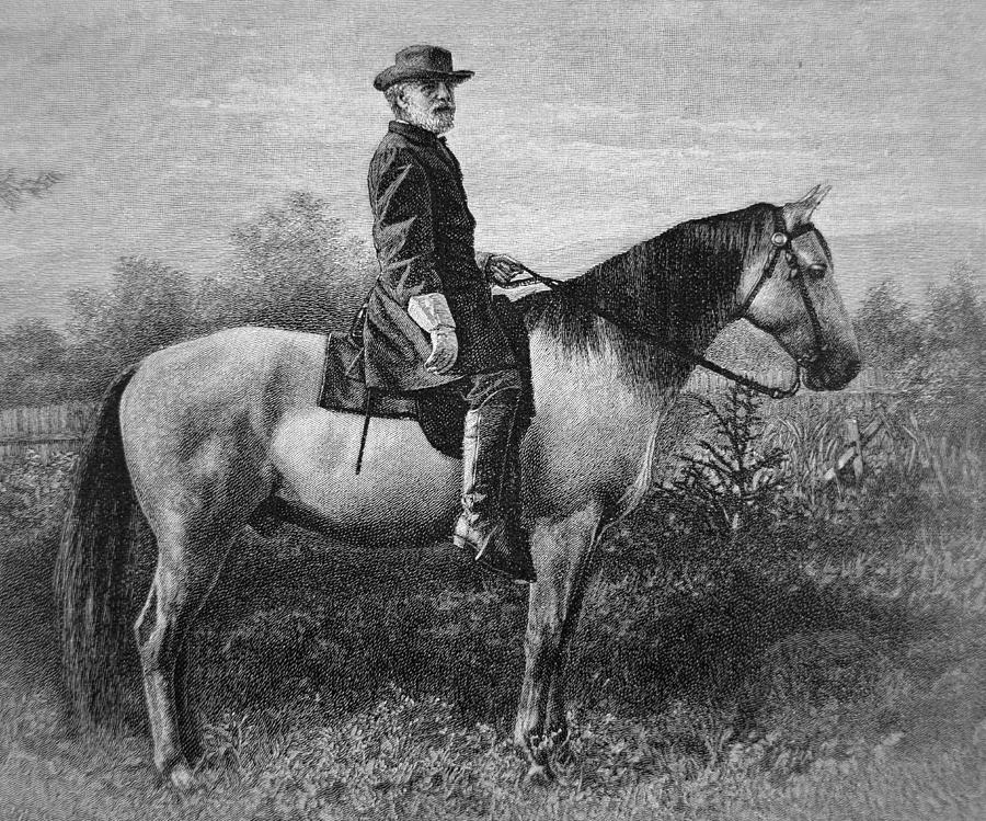 Robert E Lee Drawing - Robert E Lee on his Horse Traveler by American School