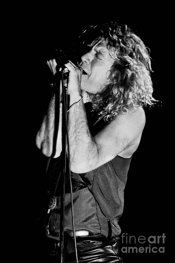 Robert Plant Photograph - Robert Plant-0040 by Timothy Bischoff