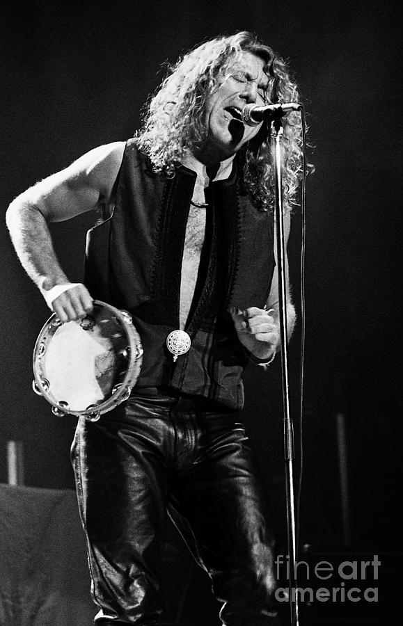 Robert Plant Photograph - Robert Plant-0062 by Timothy Bischoff