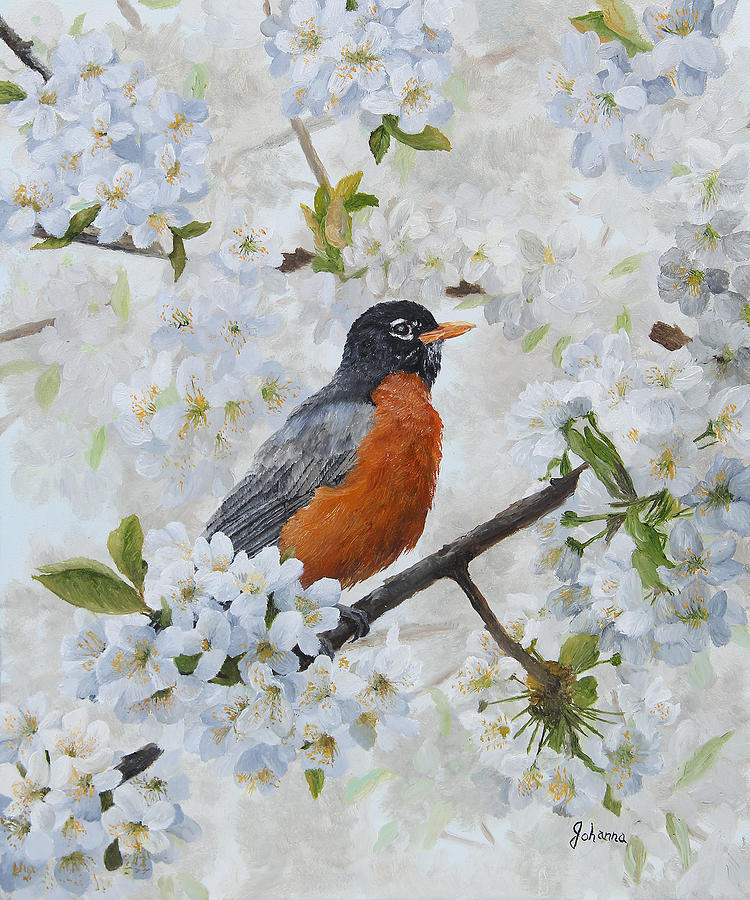 Robin and Cherry Blossoms Painting by Johanna Lerwick
