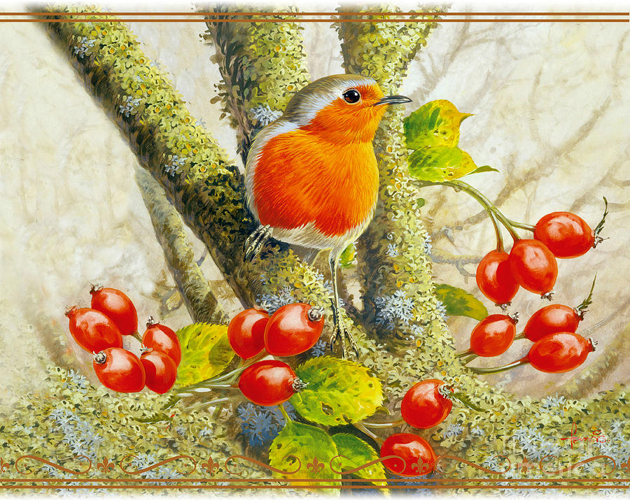Robin Painting - Robin Autumn by MGL Meiklejohn Graphics Licensing