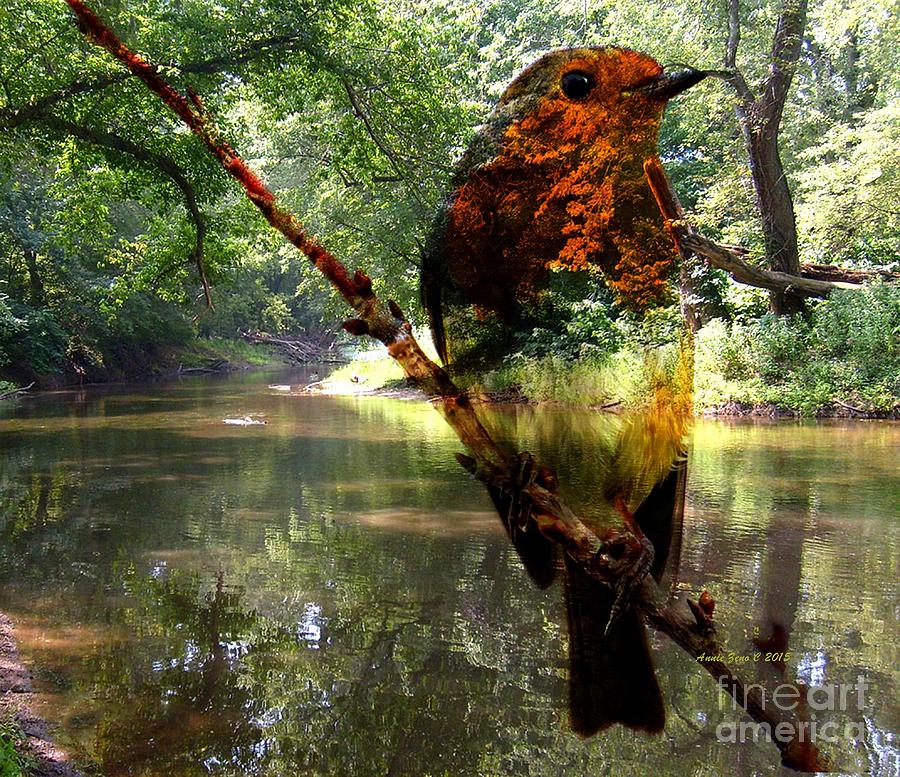 Robin Photograph - Robin By The River by AZ Creative Visions