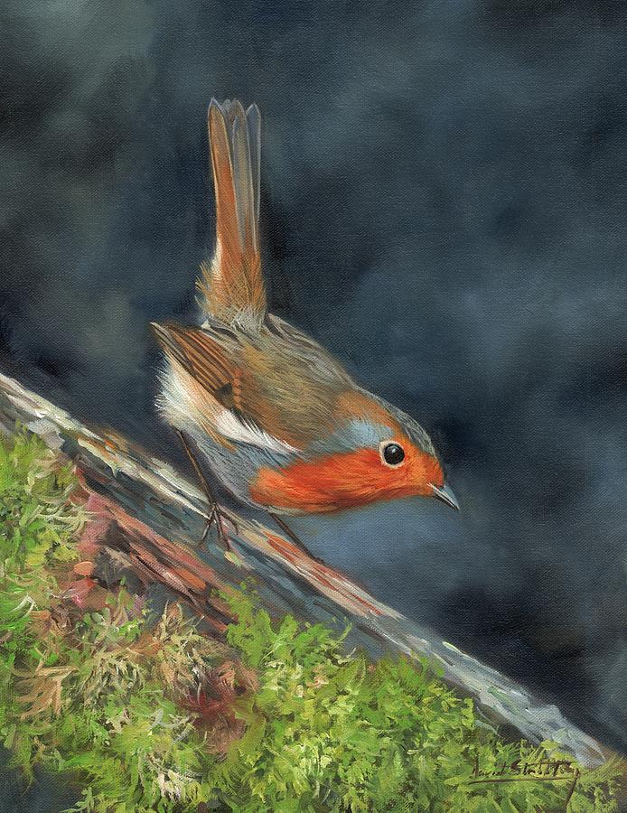 Robin Painting - Robin by David Stribbling
